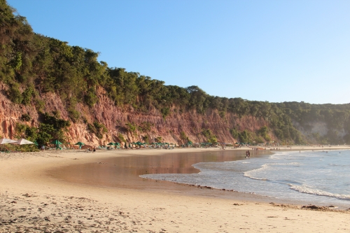 Dolphins Bay - The Curral beach